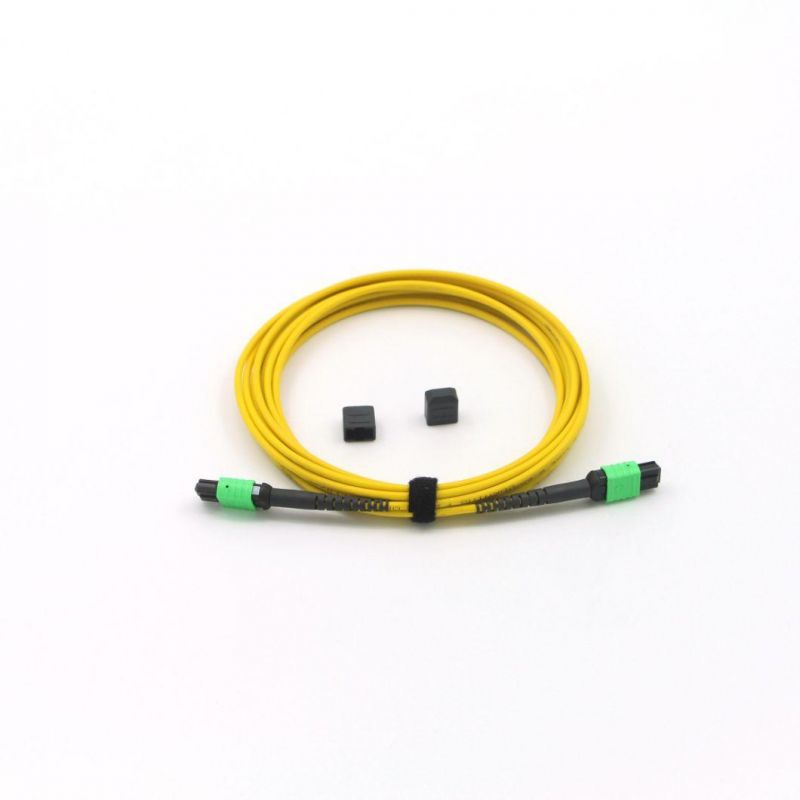 MPO-MPO Female Fiber Optic Terminal (12 core 8m)