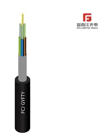 FTTH Indoor 2 Core G657A1 G657A2 Fiber Optic Multi-Core Double Tube Spiral Armored Cable