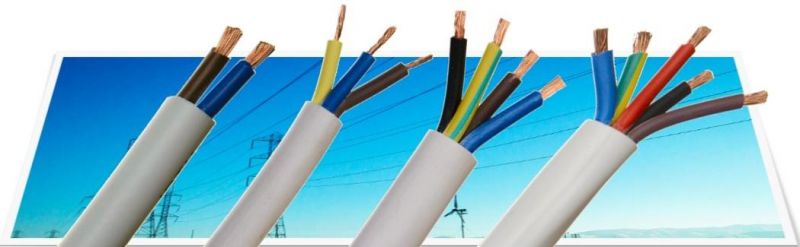 House Wiring Copper PVC Insulated Sheathed Flexible Electrical Cable Wire