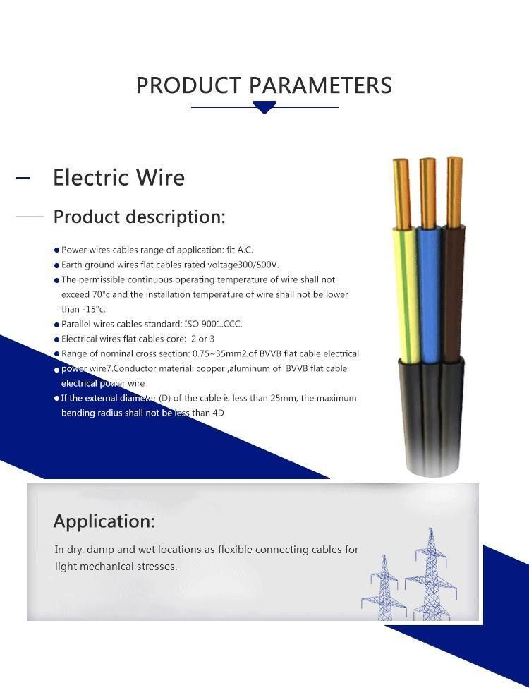 300/500V Rvvp-Shielding Control Cable Multi-Core Copper Conductor Cable Wire