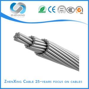 Aluminum Conductor Steel Reinforced Bare Overhead ACSR/Acc/Accc