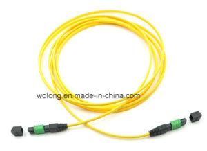 MPO Fiber Optic Patch Cord