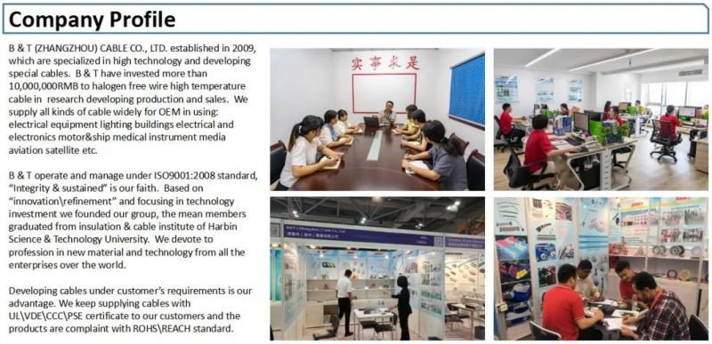 UL1095 Electrical Wire, RoHS Directive-Compliant Environment-Friendly