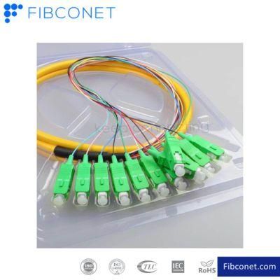 FTTH Bundle Pigtail Sc Upc APC 12core Fiber Optic Patch Cord Pigtail