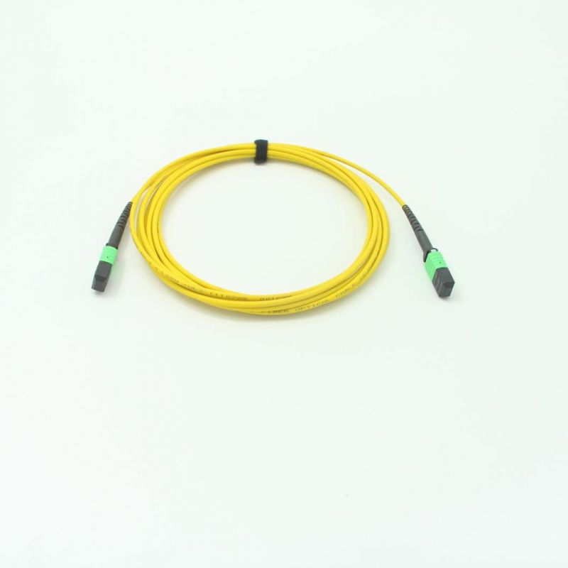 MPO (Female) -MPO (Female) Fiber Optical Patch Jumper with Om5 Fiber Cable 10 Meters