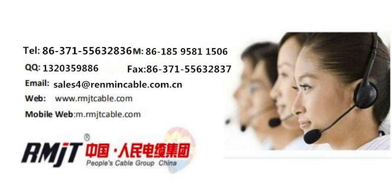 Multicore XLPE/ PVC Insulated Copper Tape Shield Control Cable