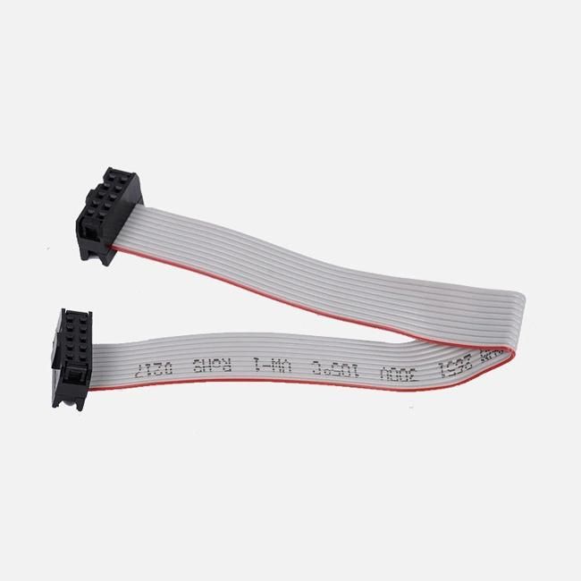 10-Pin IDC Ribbon Cable Length: 20cm