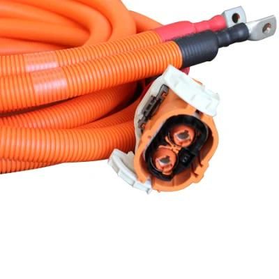 Customized New Energy Vehicle Wiring Cable