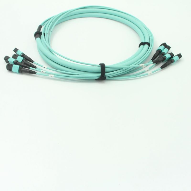 LC-MPO (Female) Om4 Fiber Optic Om4 12 Cores 2.0mm Fanout Pigtails with 5 Meters