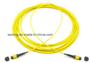MPO Fiber Optic Jumper (3 meter patch cord, connector)