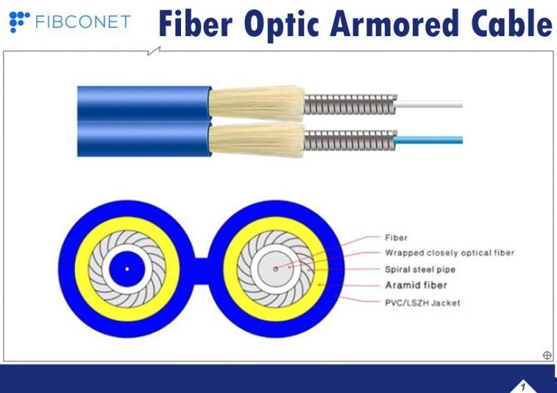 FTTH Indoor G657A1 G657A2 Gjsfjbv Fiber Optic Multi-Core Double Tube Spiral Armored Cable