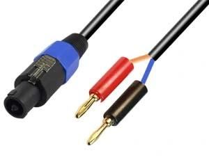 Audio Cables for Use in Speaker and Speaker System