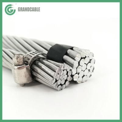 C&acirc;ble Aster 54,6 mm2 AAAC Conductor for Medium voltage overhead network NF C 34-125