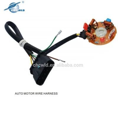 Custom Automotive Wire Harness Manufacturer, Auto Engine Wiring Harness