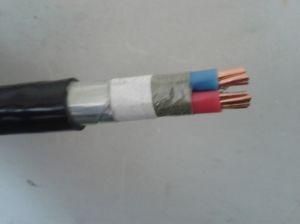Copper Conductor Power Cables (YJV 2*25mm2)