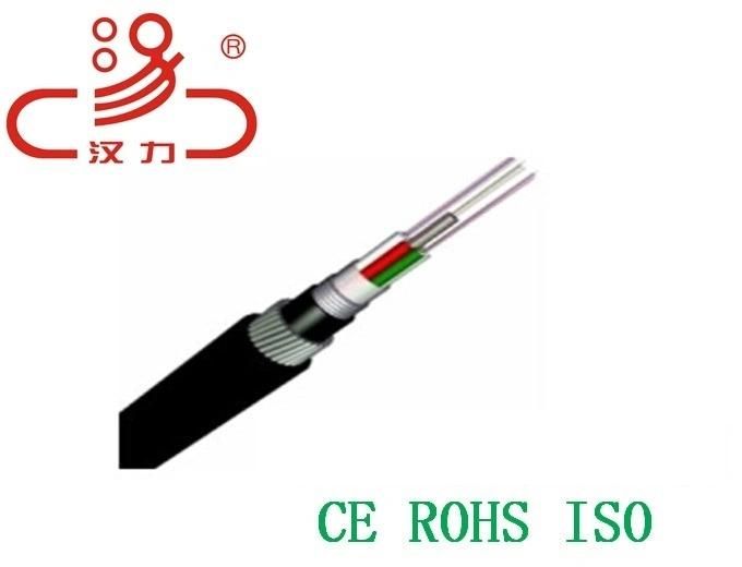 24 Core GYTA-Fiber Optic Cable for Duct GYTA