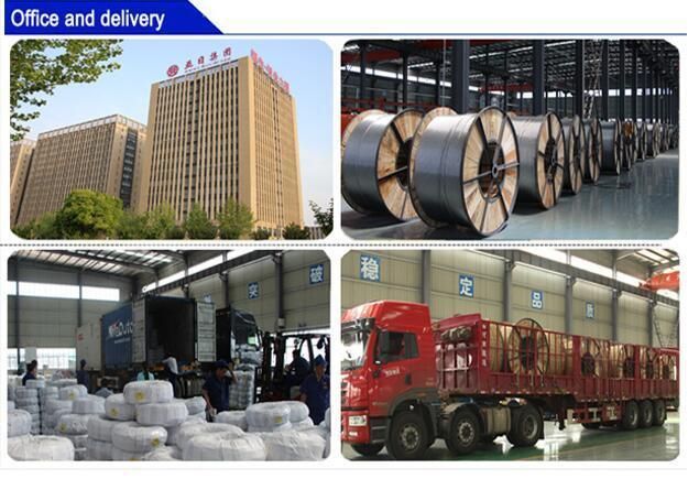 Aluminium Stranded Conductor Steel-Reinforced ACSR