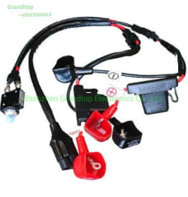Automobile Application Custom Wire Harness &amp; Cable