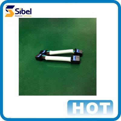 Auto Wire Harness/Cable Assembly/Byd/ Benz/Toyota/Nissan/Hyuandai/Ford Cable Assembly