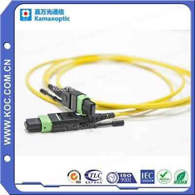 MPO MTP Network Patch Cord and Pigtail