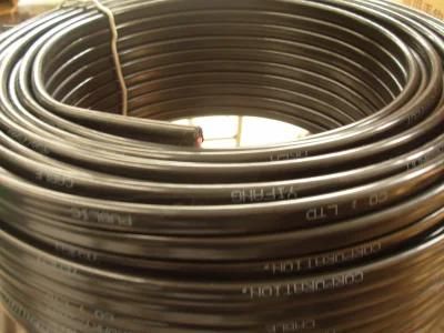 Copper PVC Flat Wire