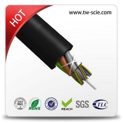 24 Core Non-Amored Outdoor Fiber Optic Cable GYFTY with FRP