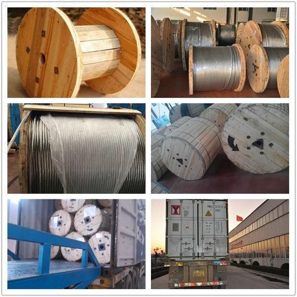 Overhead Bare Aluminum Conductor Steel Reinforced ACSR Conductor