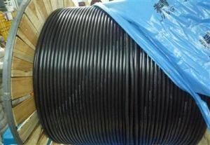 Self-Supporting 2core Fiber Optical Cable Messenger Wire Cable