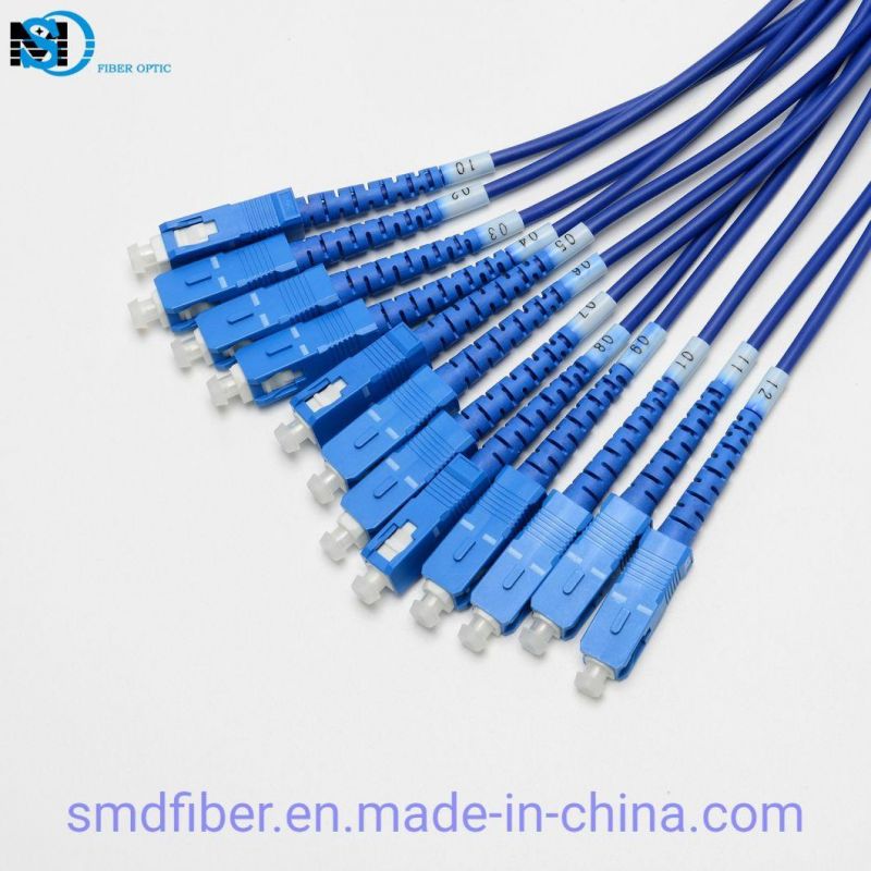 Singlemode 0.9/2.0/3.0mm Cable PVC/LSZH Sc/APC Fiber Optic 1m Pigtail