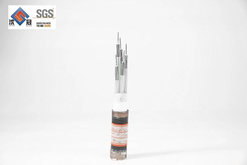 Shenguan Wire Cable Low Voltage Cable LV Aluminum XLPE Cable Overhead ABC Amka 2X16 Cable