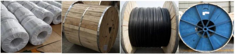 BS215 Standard 25mm2 Overhead Steel Core Bare Cable Aluminum ACSR Gopher Conductor