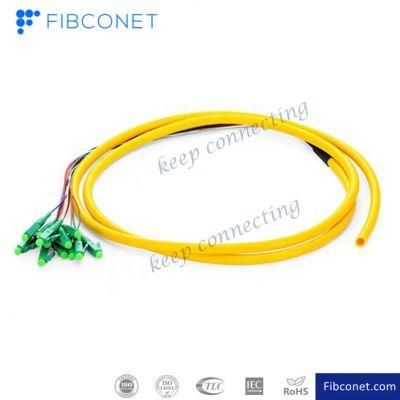FTTH LC/APC Sm 12 Core 0.9/2.0/3.0mm Fiber Optic Pigtail Fiber Pigtail