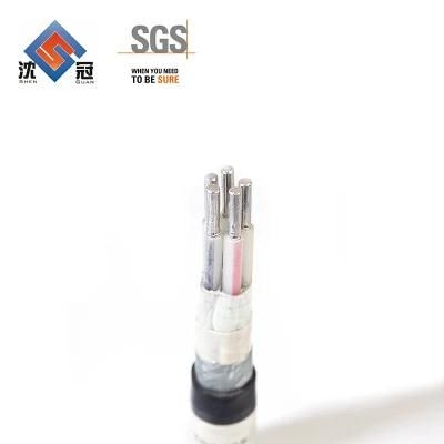 0.6 / 1kv Low Voltage Yjv 2 Core XLPE Insulation and PVC Jacket Power Cablesample Available