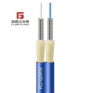 Fcj Opto Tech 29 Years Fibra Optica Communication Cables Factory Indoor Armored Single Mode 1 2 4 6 8 10 Core Gjsfjv Fiber Optic Cable