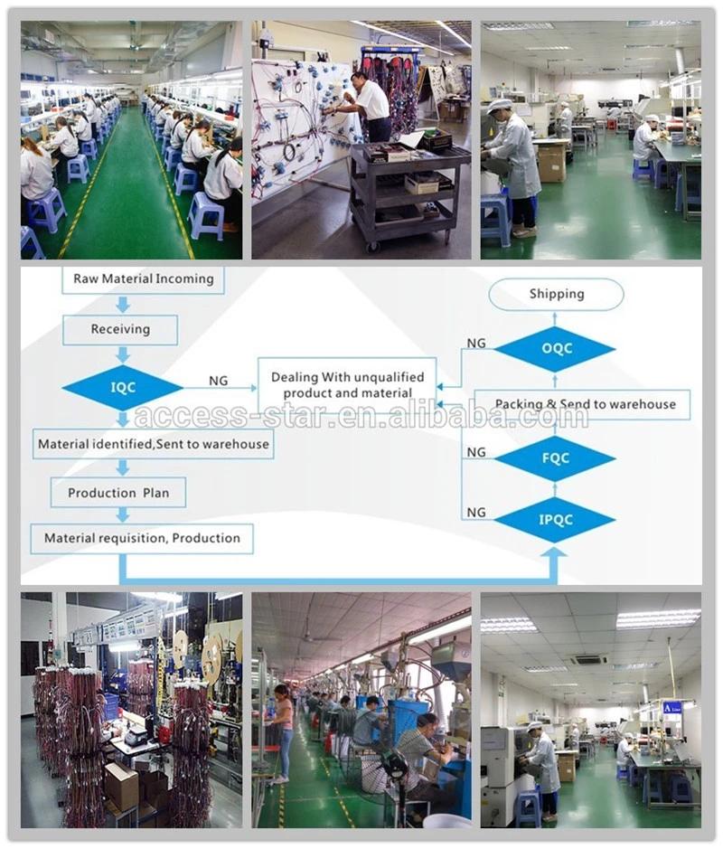 China 250 People Factory Customized Industry Auto Electrical Wiring Harness