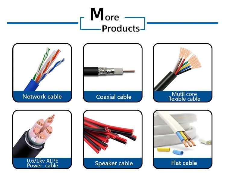 Cable Mesh Wire Plug PVC Insulated Sheathed Wire (BVV) Copper Conductor Stage Equipment Electrical Power Supply Wire Cables