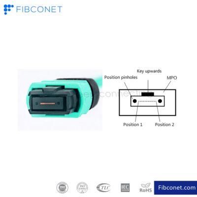 FTTH Fiber Optical Jumper 48 Core Om3 Blue MTP to MTP Fiber Optic Patch Cord