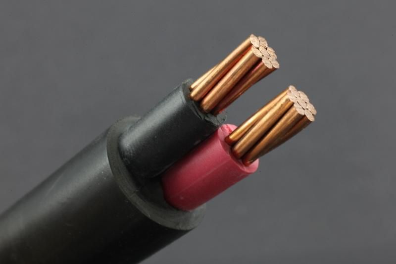 Low Voltage Concentric XLPE Cable Entrance Cable 1X10+10mm2