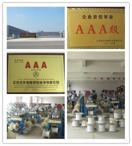 Silicone Rubber Insulated Wires