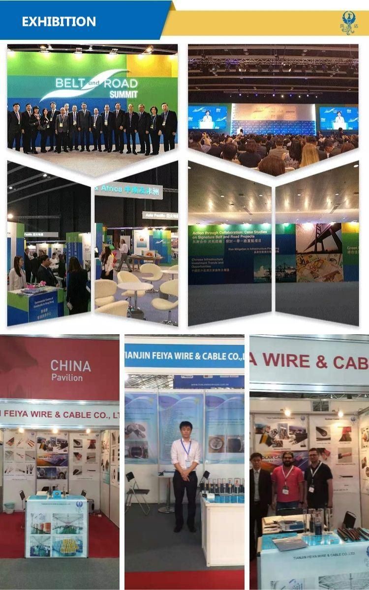 Customized Professional 3X25 2X16 Power Cable VV/Yjv/Wdzbn-Yjy