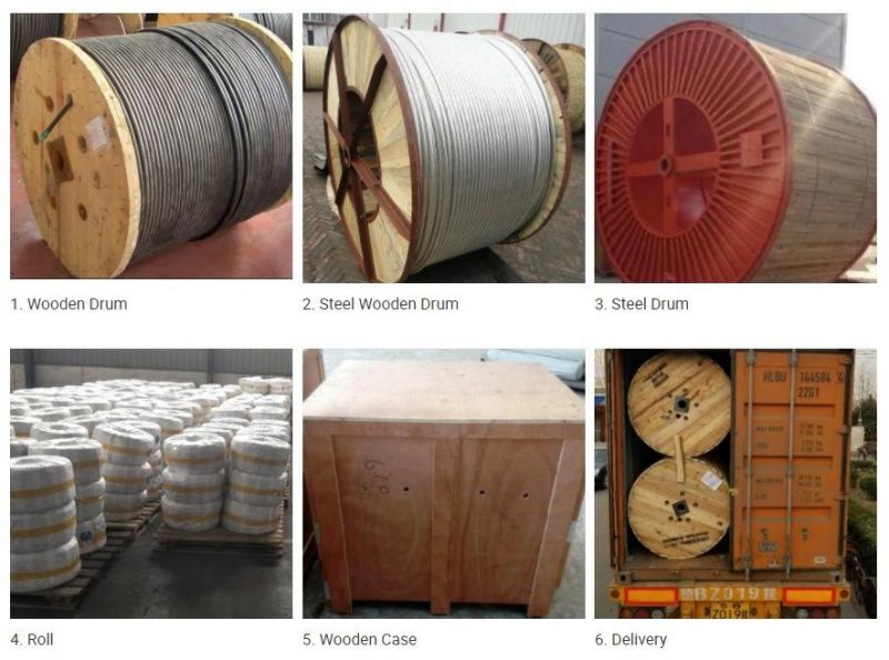 ASTM Standard Galvanized Steel Wire (GSW) Stay Wire