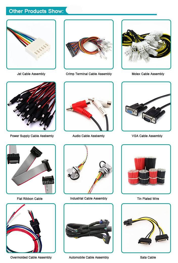 New Energy Vehicle Floor Mounted EV Charging Station Pile Cable & Wire Harness Assembly Power Cable