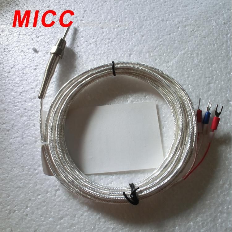 Micc Thermocouple (Double Needle) (WRNM-202B)