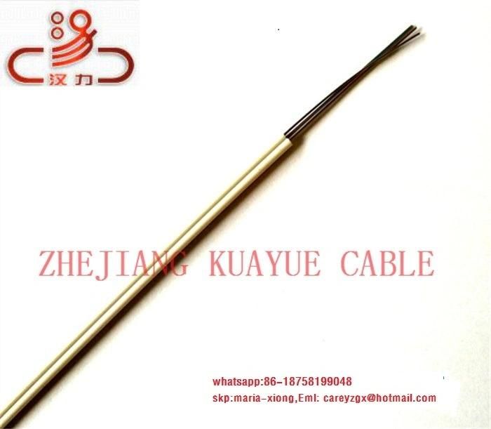 Outdoor Optic Cable FTTH Drop Wire 1 2 4 Cores G657A G652D Fiber FRP