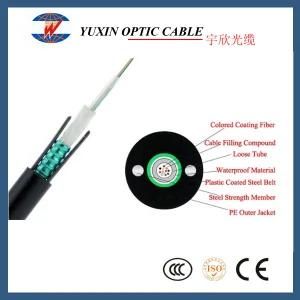 PE Jacket Sm G652D 12 Fibers Armored Fiber Optic Cable