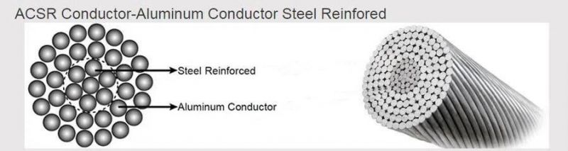 ACSR Sparrow Conductor ASTM Standard ACSR Conductor for Overhead