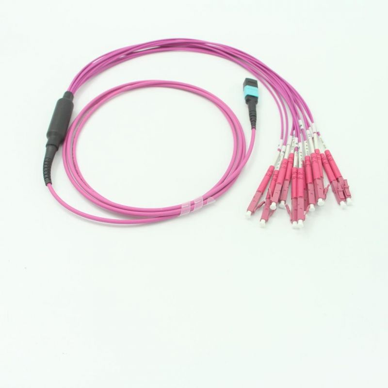 LC-MPO (Female) Om4 Fiber Optic Multimode Multicores 12 Cores 2.0mm Fanout Patch Leads with 5 Meters