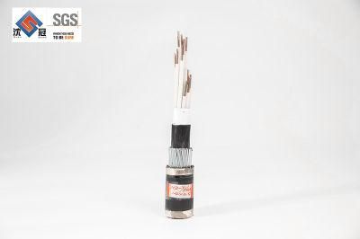 Shenguan Wire Cable Low Voltage Cable BS5467 Swa XLPE Cable Armoured Power Cables