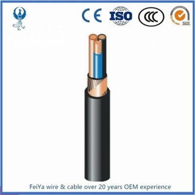 Feiya Australian Standard (Low Voltage) Industrial Cables PVC Insulated, PVC Sheathed 2 Core+E Armored Cables, 0.6/1kv