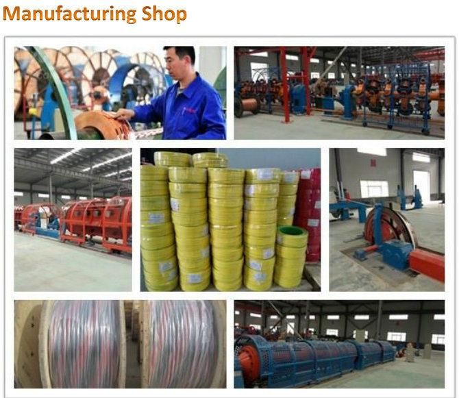 Conductivity 21% 30% 40% Iacs CCS Copper Clad Steel Stranded Wire Earth Wire